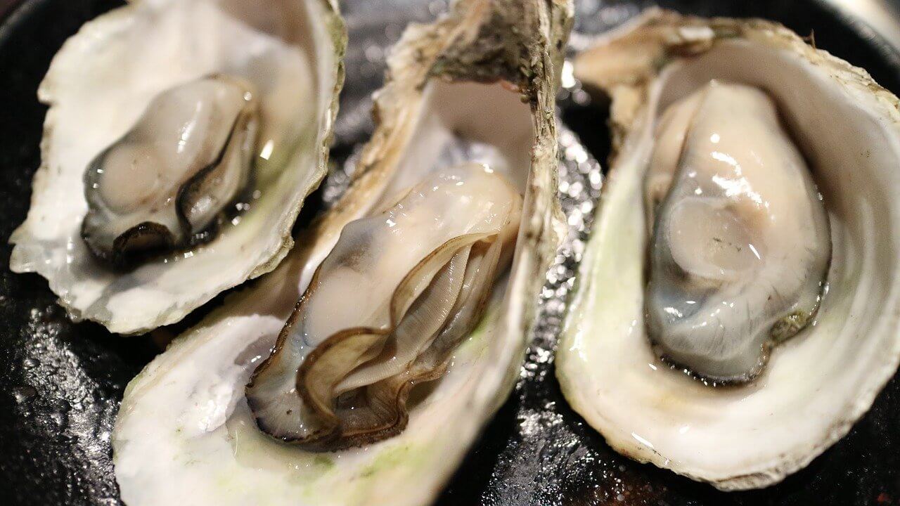 Pourquoi une huître estelle laiteuse ? Le blog culinaire