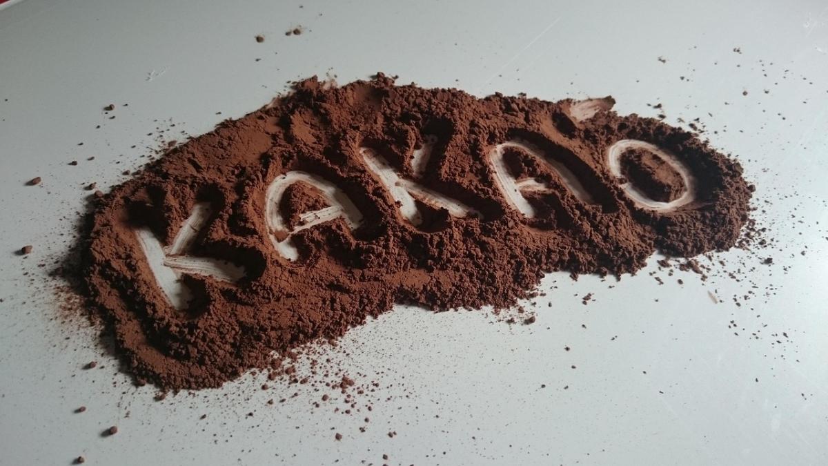 Du cacao au chocolat : une histoire riche et savoureuse